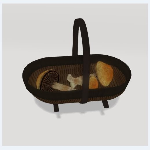DFS Mushroom Basket