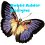 Bobbi Adder Designs