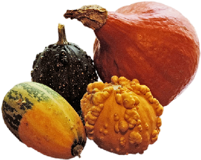 ART  AUTUMN SQUASH FANTASMAGORIA BY FLAME