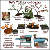 Kei's Fall Harvest Full Set inc 2 RARES + GOTG