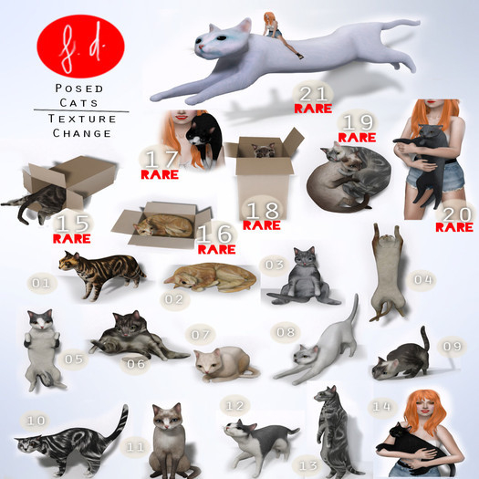 (fd) Cat - 19 Cuddling Pair RARE