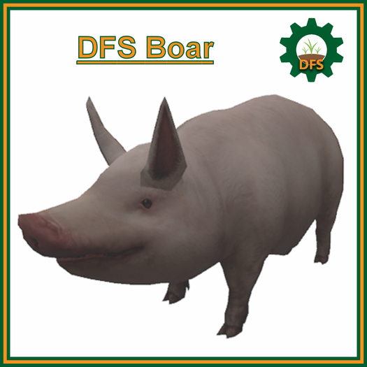DFS Boar (Texture)
