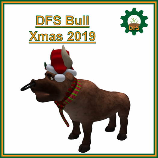 DFS Bull - Xmas 2019