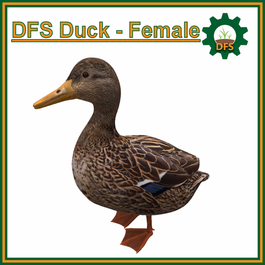 DFS Duck - Female