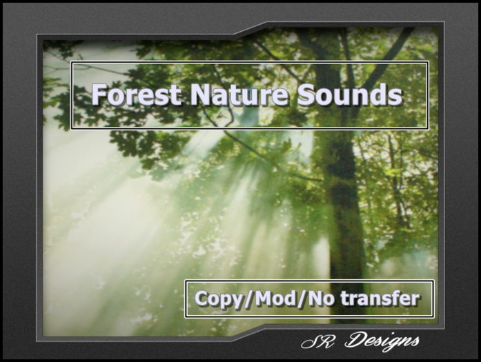 Forest Nature Sounds/COPY