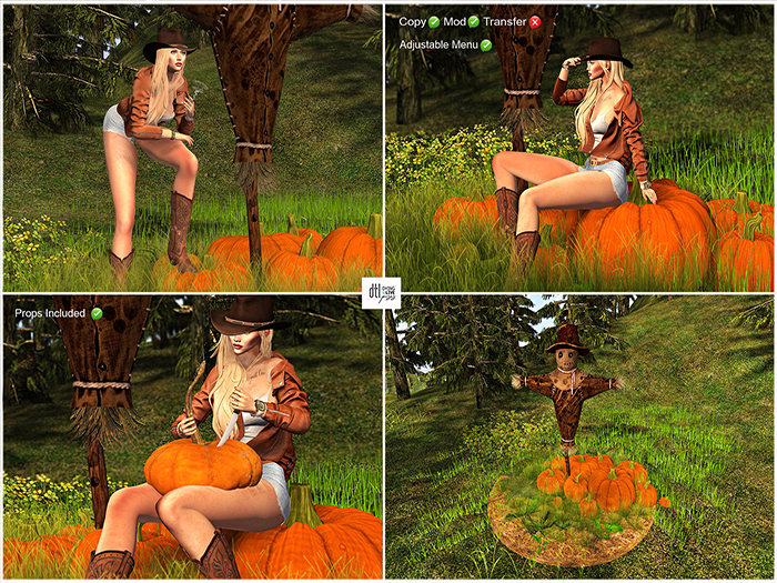 DTL Pumpkins Everywhere