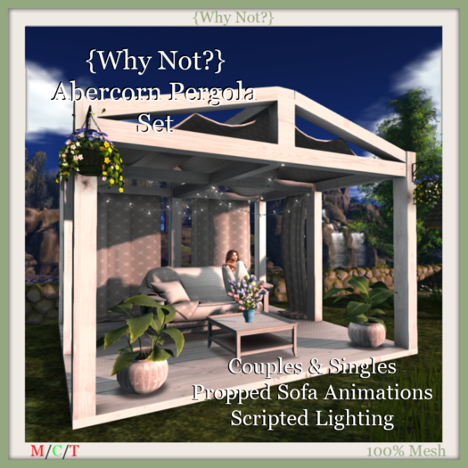 {Why Not?}Abercorn Pergola Set-Boxed
