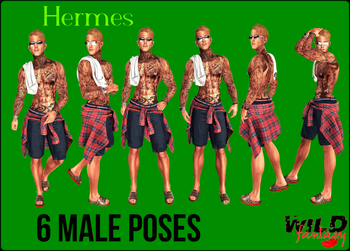 <WF>Hermes Male Poses