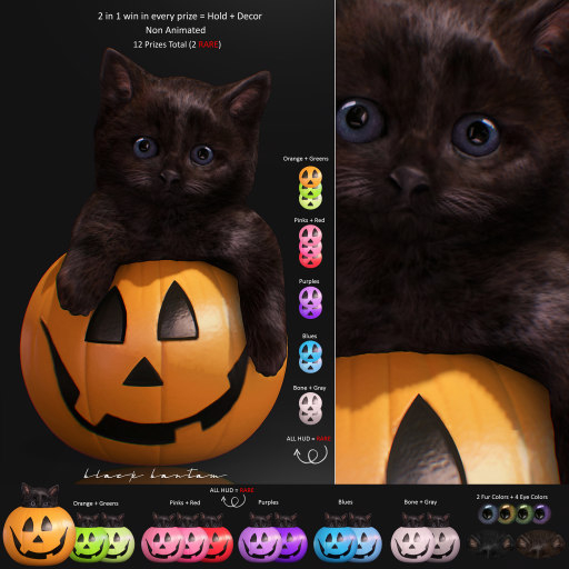 *[BB] Pumpkin Candy Hidden Kitten 2 in 1 ALL MENU RARE