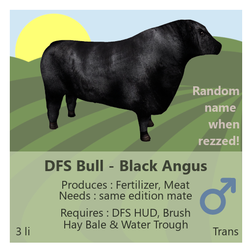 DFS Bull - Black Angus