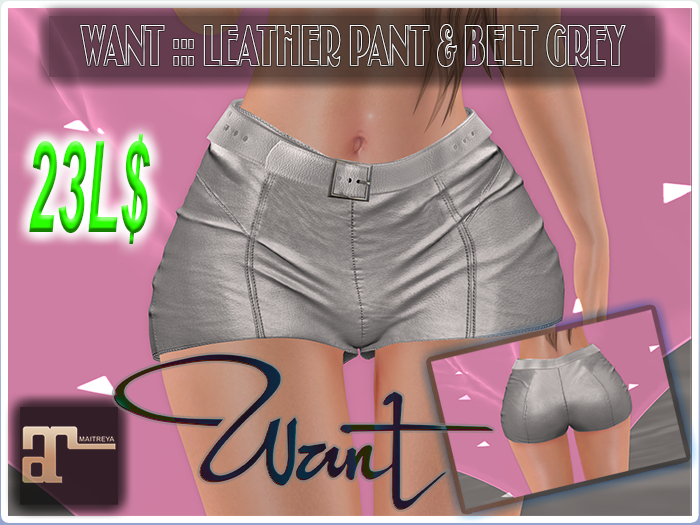 WANT ::: LEATHER PANTS & BELT GREY 