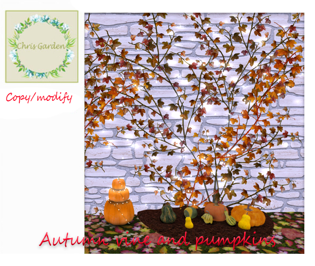 C*Autumn vine and pumplins decoration