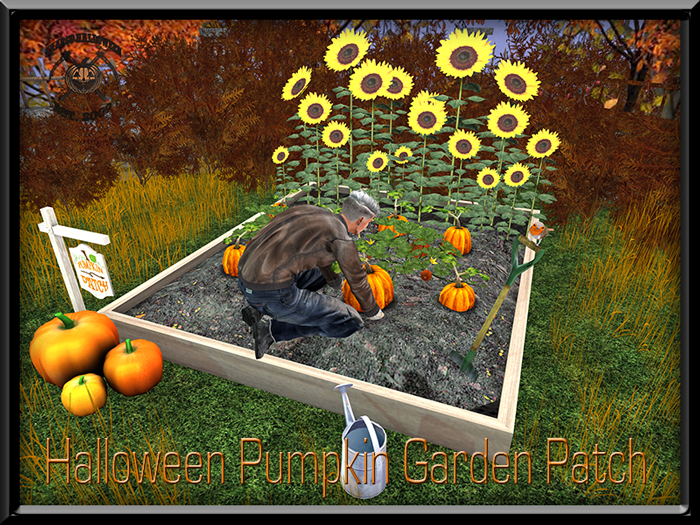 HALLOWEEN PUMPKIN GARDEN PATCH 