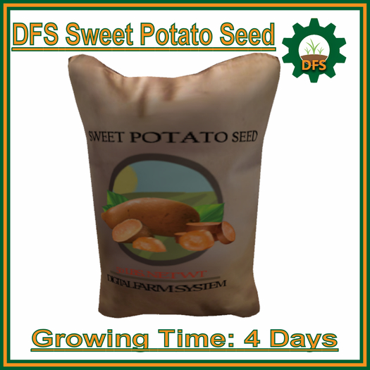 DFS Sweet Potato Seed (Texture)