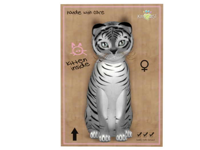 KittyCatS Box - 8T - F - Tiger! - Shadow - GM