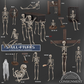 [Con.] Skull-ptures - Stocks