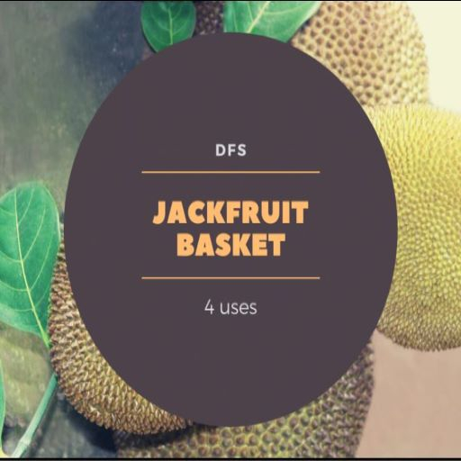 [5] DFS Jackfruit Basket