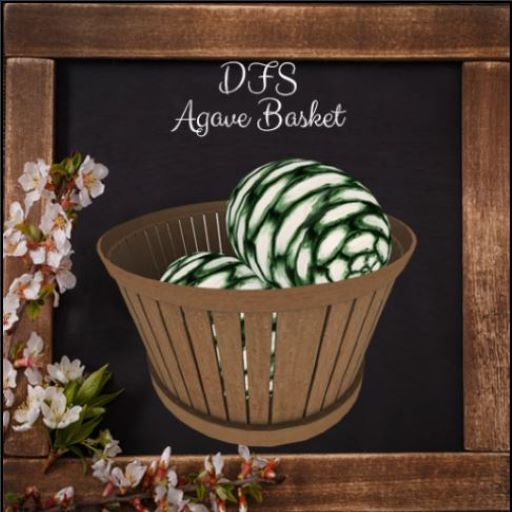 [5] DFS Agave Pina Basket