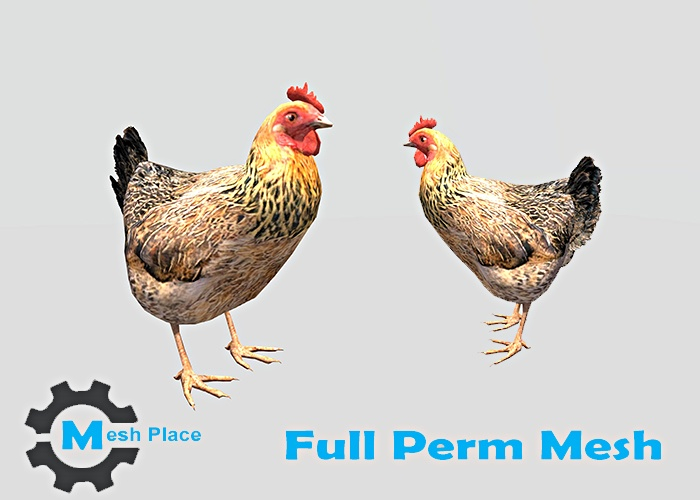 Mesh Place - Chicken (add to unpack)