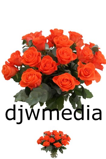 DJWMedia ICE VASE With ORANGE ROSES