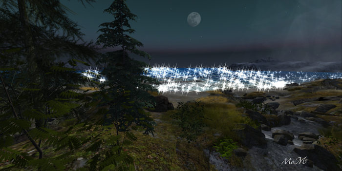 SEA AT NIGHT