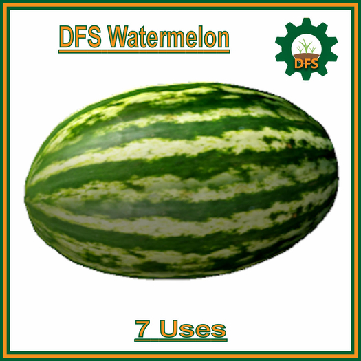 DFS Watermelon (Texture)