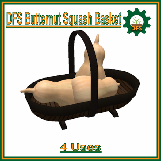 DFS Butternut Squash Basket (Texture)