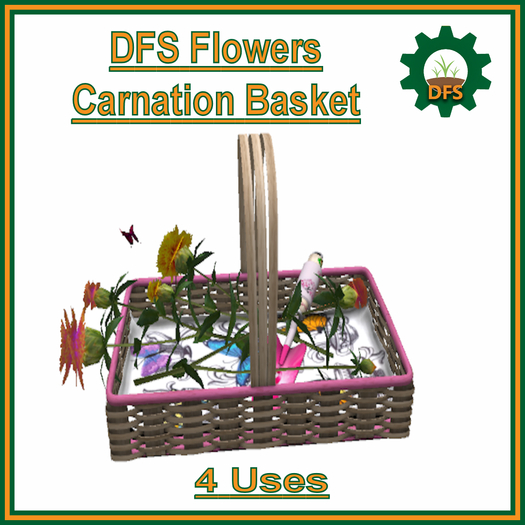 DFS Flowers - Carnation Basket (Texture)