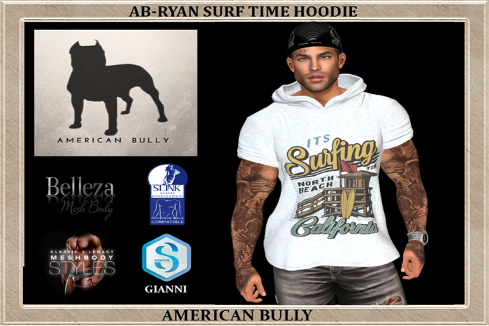 AB-Ryan Surf Time Hoodie