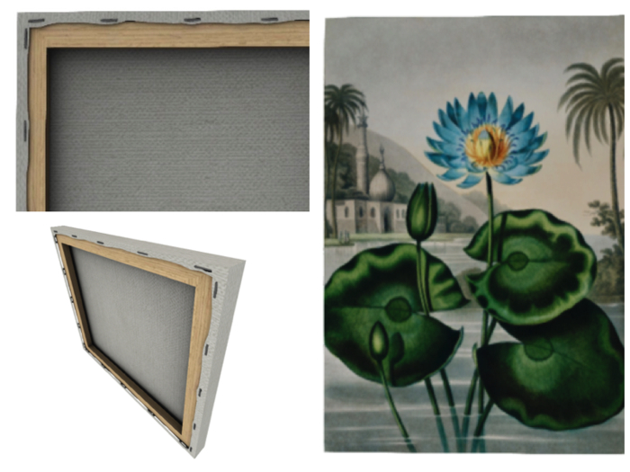The Blue Egyptian Water-Lily on canvas 1prim 1LI (no trans)