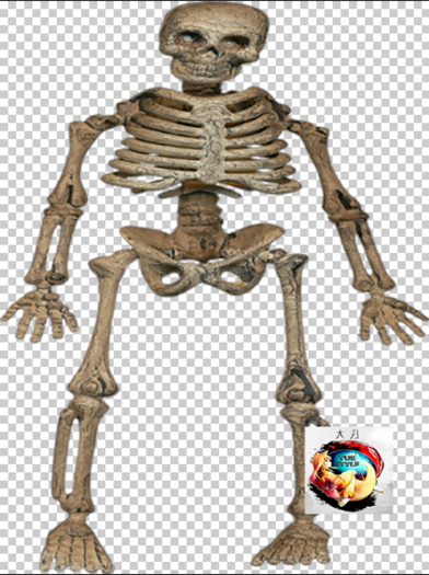 YS.texture.halloween.03