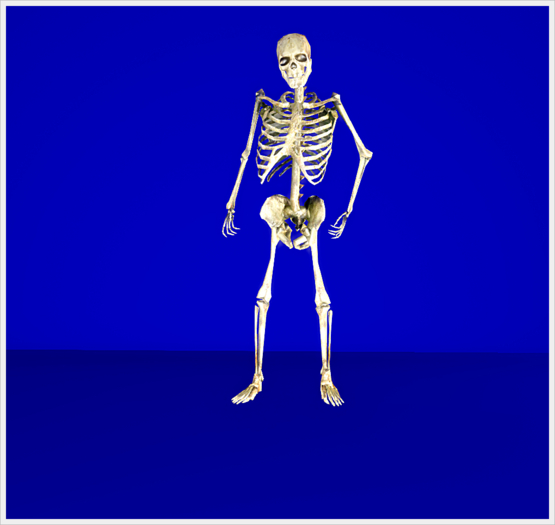 Haunted skeleton