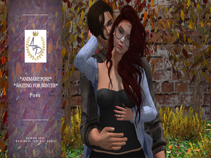 *Animare Poses*-Waiting For Winter -Couple Pose-Wear Me&Touch