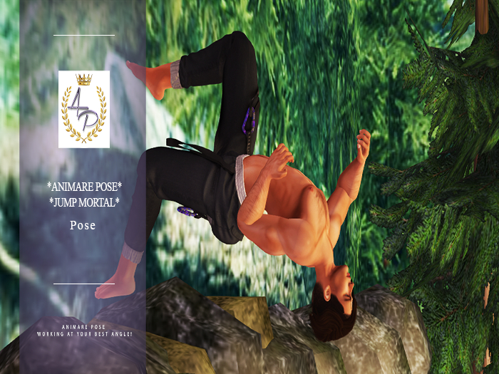 *Animare Poses*- Jump Mortal - Unisex Pose-Wear Me&Touch