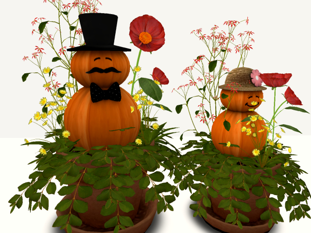 [AE] Garden Store (boxed) - Couple of Pumpkin  Planter Set