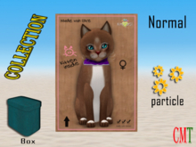 KittyCatS Box - New Born Kitten RainDearS! 2 -"The Girl" female