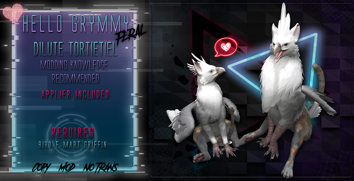 Hello Grymmy! - D.Tortie Griffin Mod