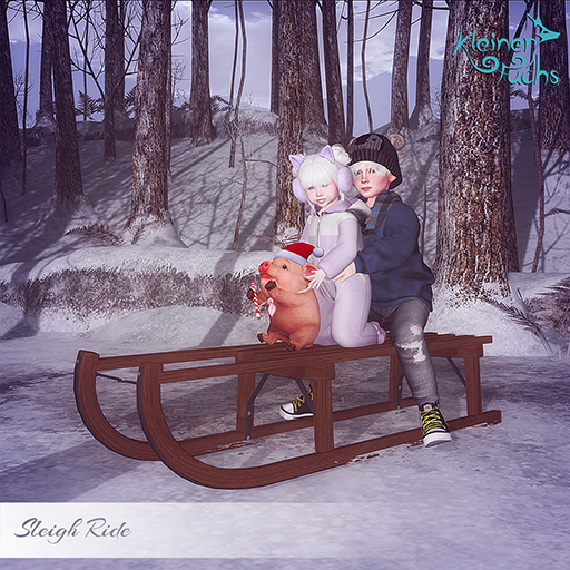 *Kleiner Fuchs* sleigh ride  Pose