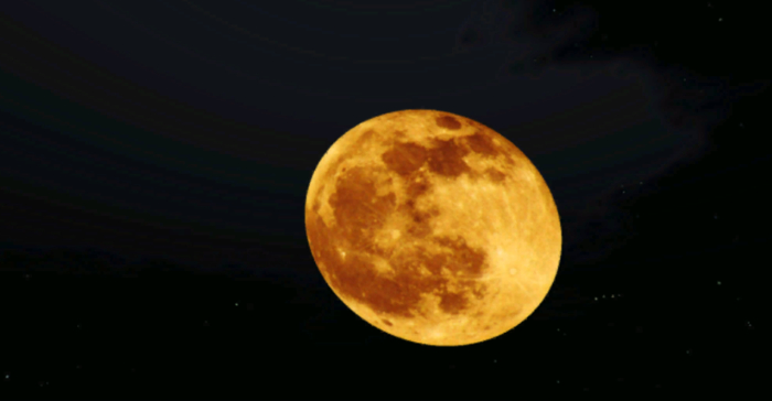 Harvest Moon Yellow