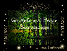 Soundscapes-Rock-Frogs and Crickets