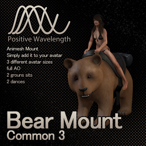 Positive Wavelength Bear Mount - 03
