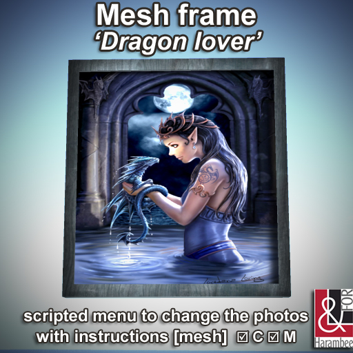 Mesh frame scripted 'Dragon Lover'