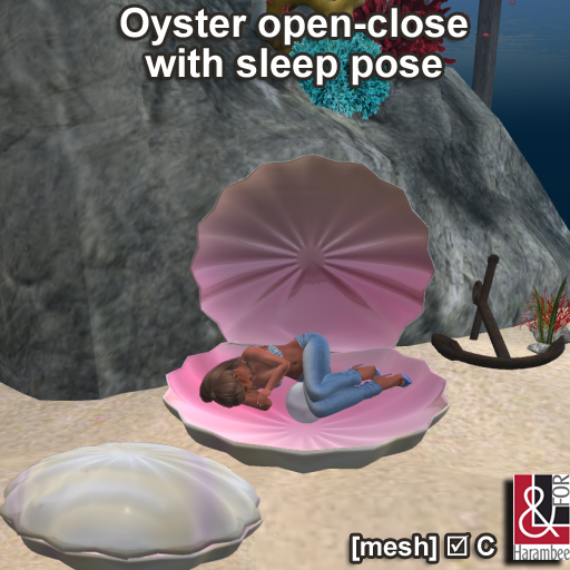 Open oyster with pearl & Sleep pose