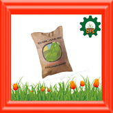 DFS Sugarcane Seed V2.2