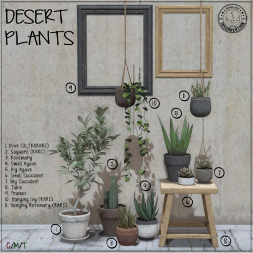 [IK] Desert Plants - 08. Table - COMMON (boxed)
