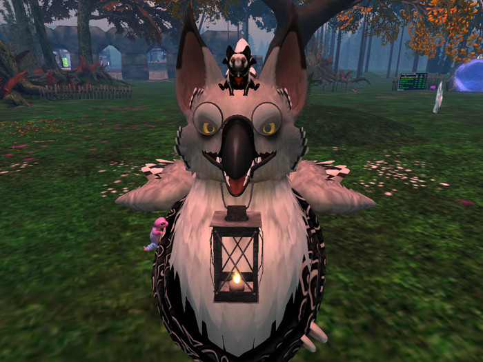 NM's Junk & Stuff Fox Griff GRAY