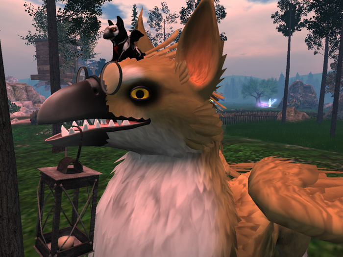 NM's Junk & Stuff Doggo Griff