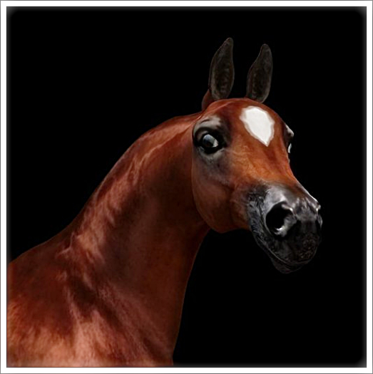 Female Brown Arabian Unicorn Spirit