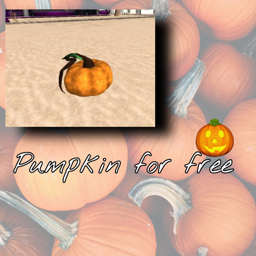 single pumpkin  free