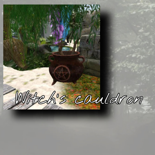Witchcauldron ° 2L$ only 